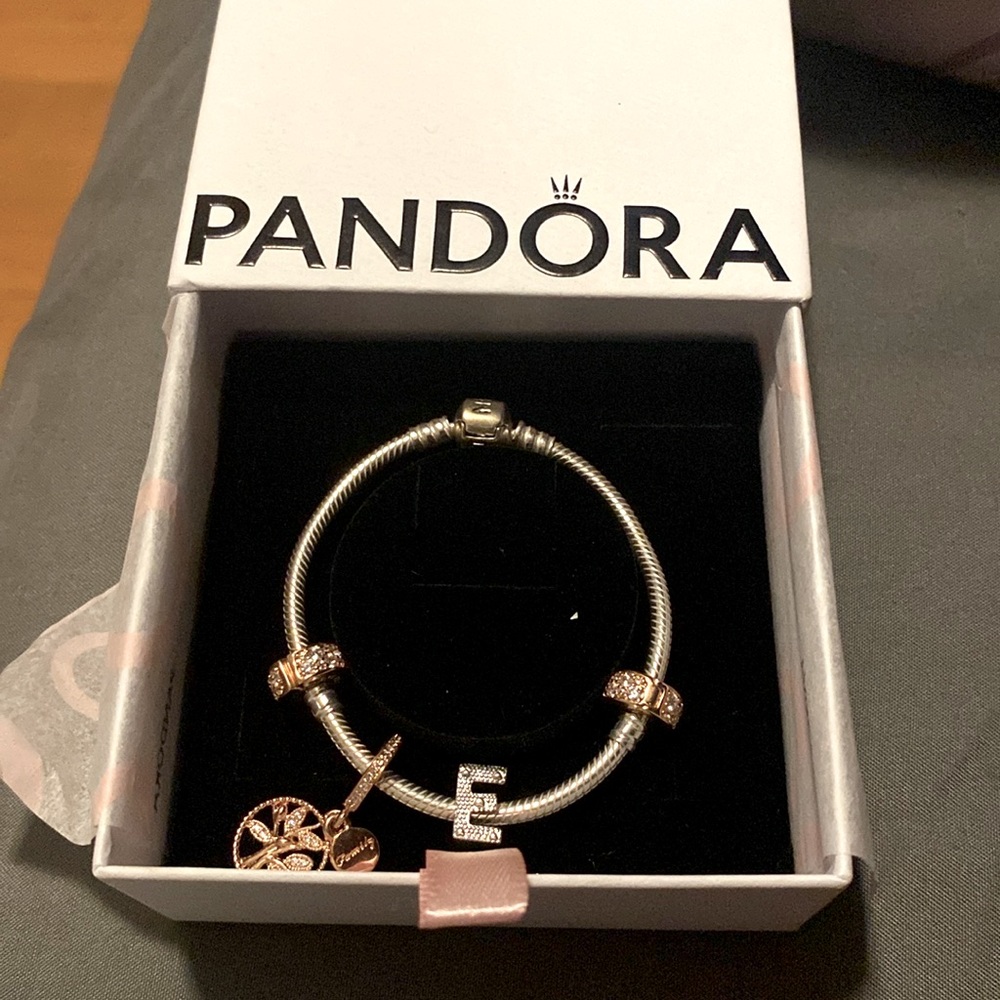 Pandora Charm Bracelet